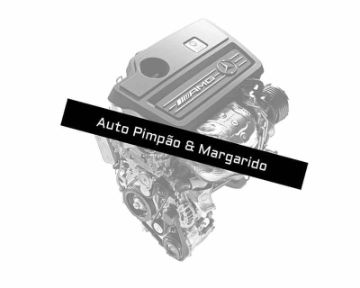Auto-Pimpao-Margarido-MVBER-oficina-certificada