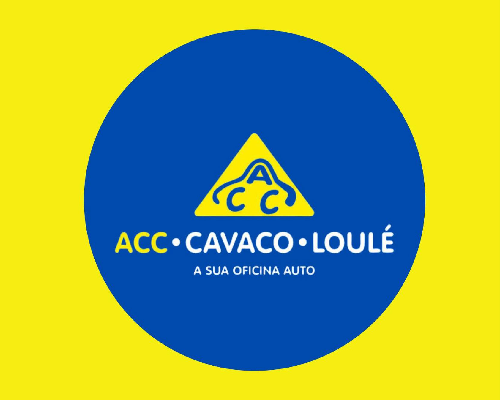 cavaco-ev-service-MVBER-oficina-certificada